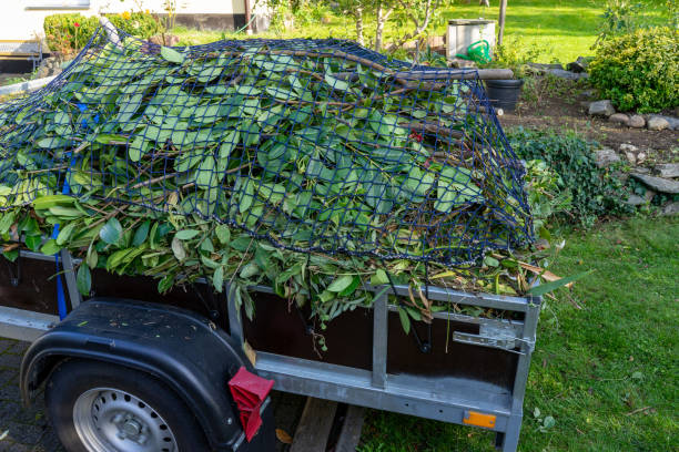  Aurora, IL Junk Removal Services Pros